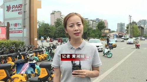 南充新闻头条爆料,揭秘最新爆料事件