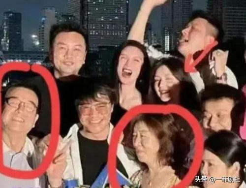 娱乐圈吃瓜情报局隐秘,隐秘情报局大揭秘，吃瓜群众狂欢时刻