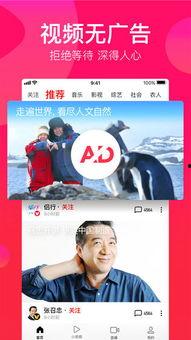 吃瓜背诗视频下载免费,跟随吃瓜视频，免费领略古典诗词之美