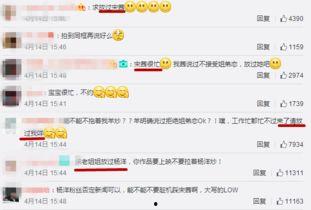 婉儿博主爆料了吗视频播放,视频播放背后的秘密大揭秘