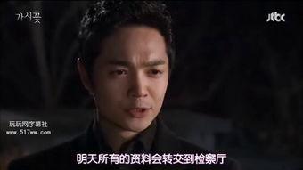 在线观看荆棘花韩剧,爱恨交织的复仇之旅