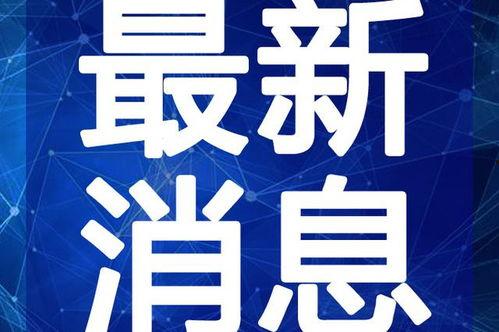 最新港八卦爆料新闻视频,最新爆料视频内容大起底