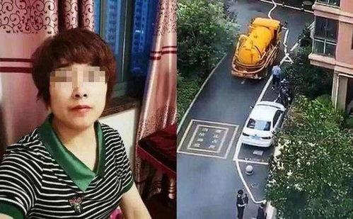 田家庵杀妻爆料视频大全,悲剧背后的真相与反思