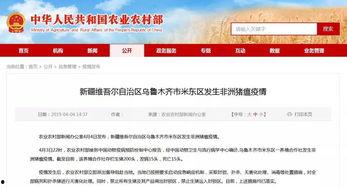 米东区爆料最新新闻报道,聚焦民生热点，揭示社会现象