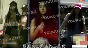 沈阳精彩爆料事件真相视频,揭秘真相背后的惊人内幕