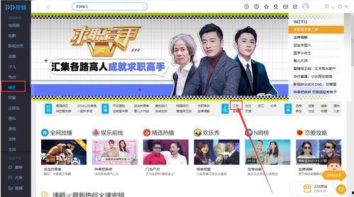 在线卫视观看,开启便捷娱乐新时代