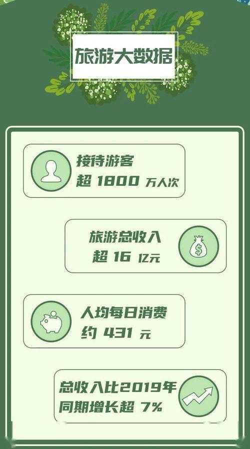 大溪最新爆料视频大全集,揭秘幕后真相，带你走进事件核心