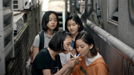 韩国的青春在线观看,韩国青春校园生活的魅力瞬间