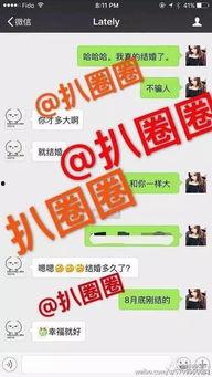 今日菜价爆料图片大全大图,今日菜价爆料图片大图解析