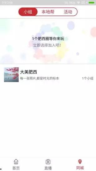 肥西女婿爆料视频,一场家庭纠纷背后的真相
