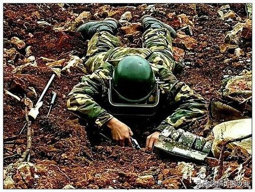 老山狙击手在线观看,生死狙击，忠诚守护