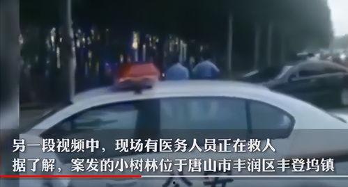 黑车最新爆料新闻事件视频,揭秘背后惊人真相