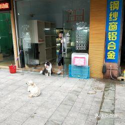 温州宠物店爆料事件最新,揭露行业黑幕，宠物权益亟待关注