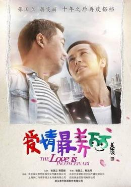 爱情最美丽电视剧全集在线观看,浪漫邂逅，甜蜜爱情故事回顾