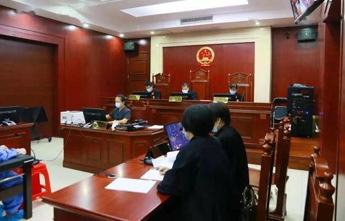 江门粤海城爆料案件最新,揭开背后惊人真相