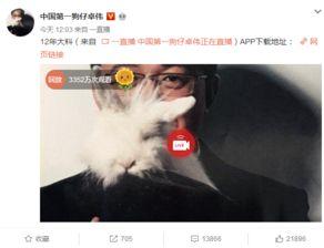 泰国真实爆料事件视频大全,揭秘背后惊人真相