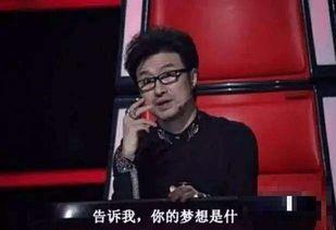汪峰妻子爆料事件视频完整版,揭秘婚姻内幕与情感纠葛