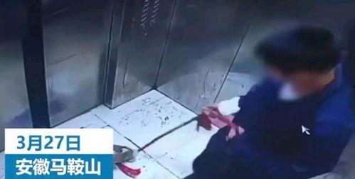 小男孩内鬼爆料视频播放,小男孩爆料视频背后的惊人真相