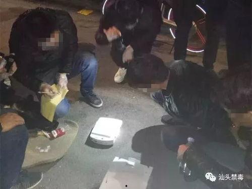 毒贩被抓爆料视频大全,揭秘警方抓捕毒贩的惊心动魄瞬间