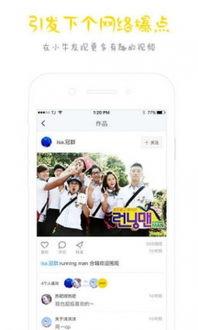 小牛新款爆料视频播放,科技与时尚的完美融合