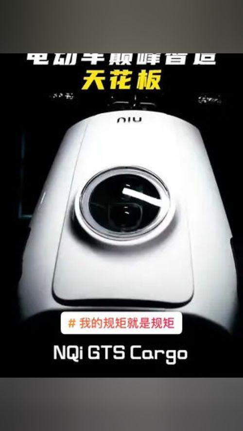 小牛新款爆料视频播放,科技与时尚的完美融合