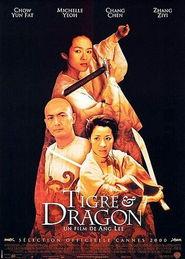 卧虎藏龙 在线观看,武侠世界的绝美画卷