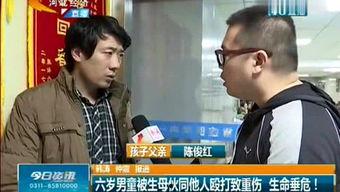 爆料石家庄老周事件视频,揭秘背后真相与争议