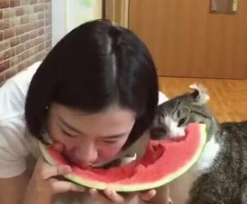 大猫咪mia吃瓜免费,揭秘娱乐圈幕后故事