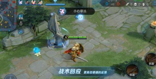 王者荣耀战斗服爆料视频,揭秘爆料视频中的神秘元素