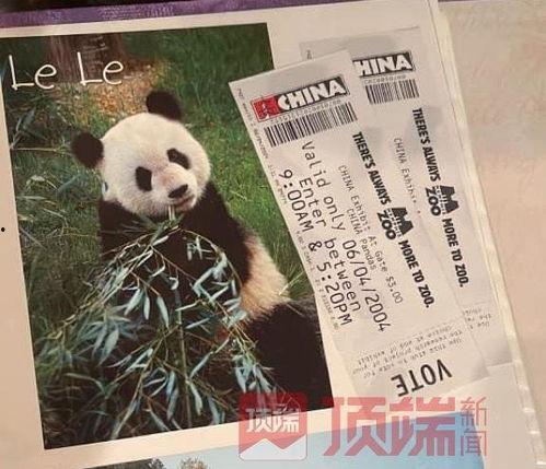 知情美国人爆料熊猫视频,熊猫视频背后的真实故事
