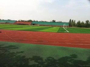 网红操场吃瓜,揭秘校园生活新潮流