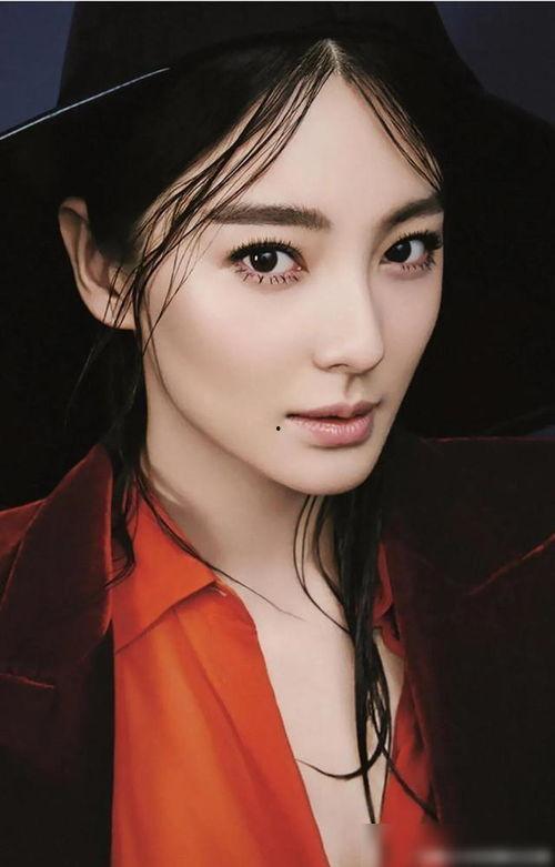 娱乐圈内幕爆料赵露思,揭秘明星背后的真实故事