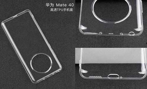 野生麒麟爆料大全最新版,野生麒麟爆料大全最新版深度解析