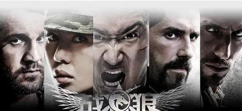 功夫小子电影爆料视频,揭秘幕后爆料，电影制作背后的精彩瞬间