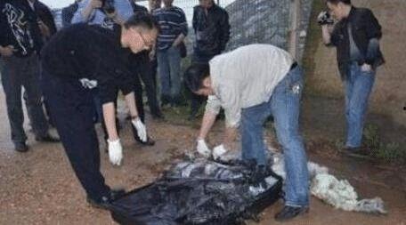 南大碎尸案最新爆料,最新爆料揭露惊人内幕