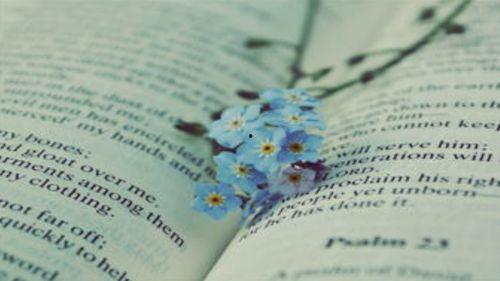 安静的吃瓜小民小说免费阅读,揭秘安静的吃瓜小民小说免费阅读之旅