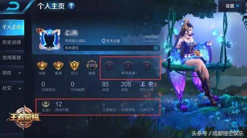 王者灵动爆料视频大全最新,揭秘最新英雄技能与游戏玩法