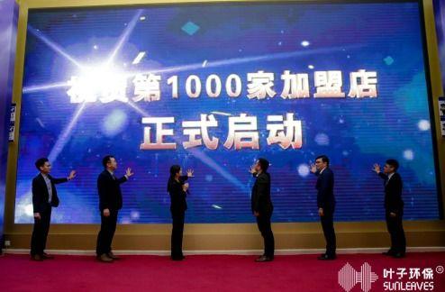 东方树叶最新爆料新闻报道,揭秘茶叶界的最新爆料