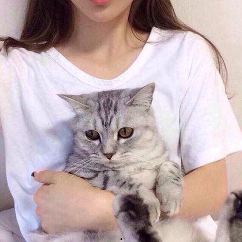 网红猫吃贝贝瓜图片大全,贝贝瓜图片大全萌态十足