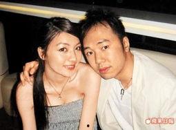 李宗瑞迷案全集在线观看,揭秘娱乐圈惊天丑闻背后的真相