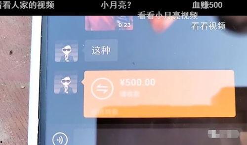 润哥爆料视频大全集,揭秘幕后真相，带你领略真实世界