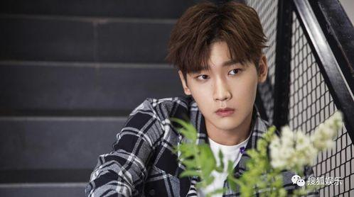 娱乐爆料易梦玲是谁的女儿,揭秘娱乐圈新星背后的神秘身世