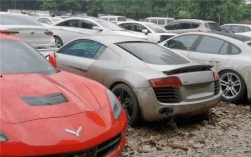 新款玛莎爆料视频,揭秘视频中的五大亮点