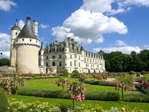 威廉古堡爆料视频大全最新,最新爆料视频大全深度解析