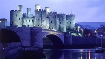 威廉古堡爆料视频大全最新,最新爆料视频大全深度解析