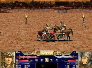 大类群英在线观看,在线观看，领略群英荟萃的风采