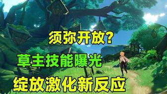 须弥技能最新爆料图片