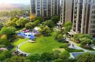 成都公园爆料视频下载,揭秘公园里的那些事儿