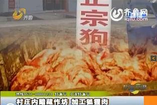 爆料香肠加工视频播放,视频曝光惊人真相