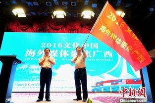 广西民间媒体爆料新闻,神秘事件引发热议，真相即将揭晓！